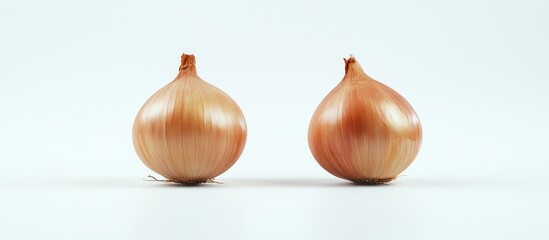 Two Golden Onions on a White Background