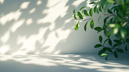 Aufkleber - Minimalistic light background with blurred foliage shadow on a white wall Beautiful background for presentation with with smooth floor : Generative AI
