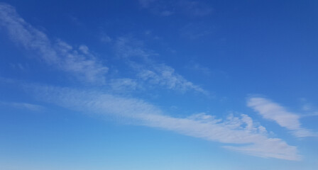 Wall Mural - perfect blue sunny sky background. sky with little cloud and copy space