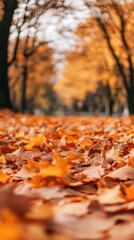 Wall Mural - A dog is walking on a leaf covered path in the park, AI