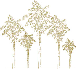 Wall Mural - Vector sketch, silhouette illustration, detailed drawing design, collection of abstract unique palm coconut trees in the forest with lots of branches for greenery