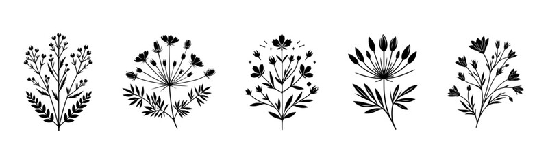Wall Mural - Collection of Black Wildflowers Isolated on Transparent Background - Set of Simple Wild Sprigs for Card Decorations or Minimalist Designs