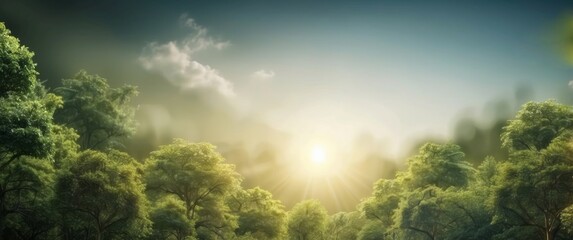 Wall Mural - Sunbeams Through Foliage in a Misty Forest