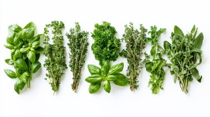 Poster - A fresh selection of various herbs, including basil, thyme, parsley, and sage, neatly arranged in organized rows on a white background, bringing a sense of nature and healthiness.