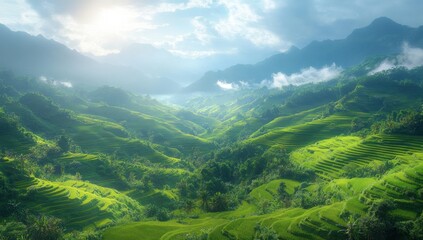 Canvas Print - Green Terraced Rice Fields in the Mountains