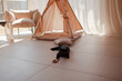 © Вероника Зеленина - Close-up of the black cat have fun against the wigwam at home . The cozy sand stylish furnishing in the apartment in biege shades