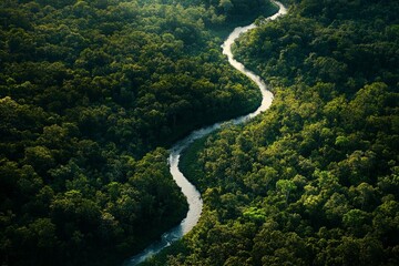 Poster - An intricate aerial view of a meandering river threading its way through rich green woodlands, highlighting the beauty and tranquility of untouched natural expanses.