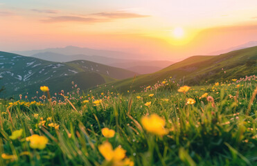 Sticker - A beautiful mountain landscape with green grass and yellow flowers at sunset, with the sun setting behind the mountains in summer.