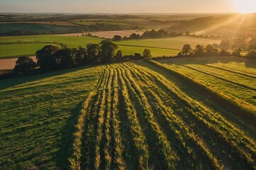 Wall Mural - AERIAL, LENS FLARE: View towards the sun rising over scenic English countryside. 