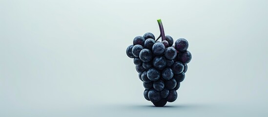 Poster - grape against a white background. Copy space image. Place for adding text and design