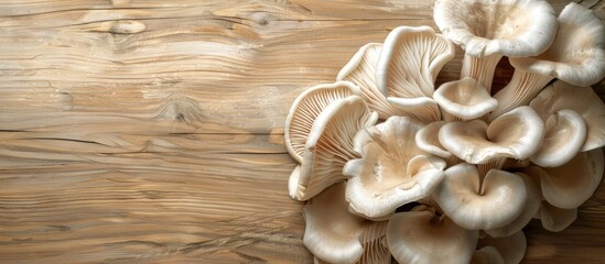 Poster - Oyster mushrooms clustered on a wooden surface. Copy space image. Place for adding text and design