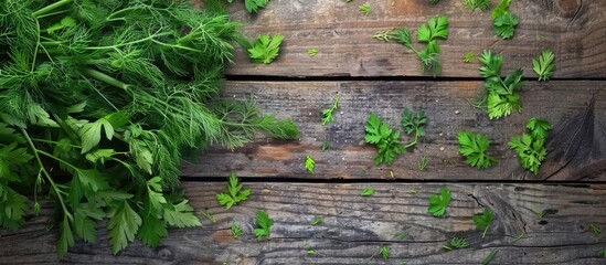 Wall Mural - Fresh green dill and parsley herbs on a rustic wooden table Kitchen seasoning Salad. Copy space image. Place for adding text and design