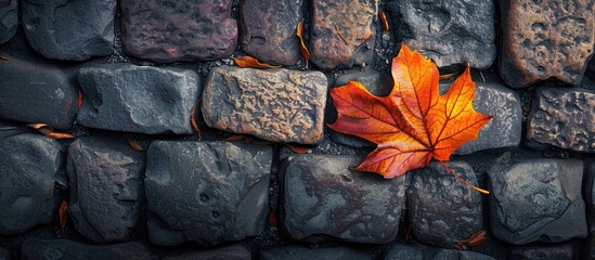 Wall Mural - Autumn leaf set against an old cobblestone road background. Copy space image. Place for adding text and design