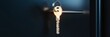 © Tida - Key to Success - Open Door to Opportunity - A single golden key inserted in a door lock, symbolizing opportunity, potential, success, security and new beginnings.