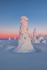 Poster - landscape with snow