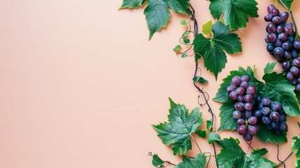 Poster - A still life composition of grapevines with ripe, purple grapes set against a soft peach background, showcasing natural beauty.