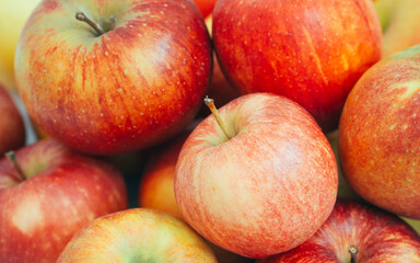 fresh apples, showcasing their vibrant red and yellow skins. The apples are arranged closely together, highlighting their crisp texture and natural appeal