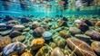 © Collection - Stones in clear water, Rocks, pebbles, underwater, nature, serene, reflection, tranquility, peaceful, aquatic, river, stream