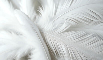 Close up of a white colored feather background texture illustration. AI Generated