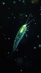 Poster - Glowing Deep-Sea Organism

