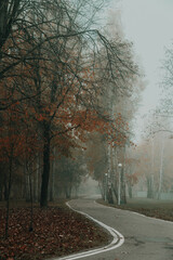 A winding walking path in the fog.