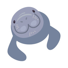 Sticker - close up sea cow