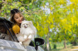 © kamonrat - Woman Enjoying a Sunny Drive with Her Fluffy Pomeranian, Embracing Nature