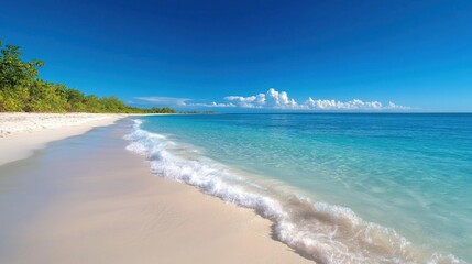 Wall Mural - A serene beach in the New World, with white sands and gentle waves lapping at the shore