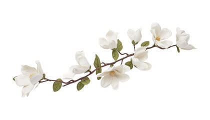 Sticker - white cherry blossom isolated on transparent background cutout