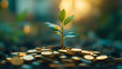 © slonme - Investment Growth Concept - Young Plant Sprouting from Coins