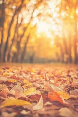 Aufkleber - Golden autumn card with autumn maple leaves in sunlight, bokeh. Beautiful nature background with forest ground. Banner. Concept of fall season.