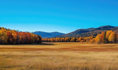 Wall Mural - Fall scenery, open field, colorful trees, distant mountains