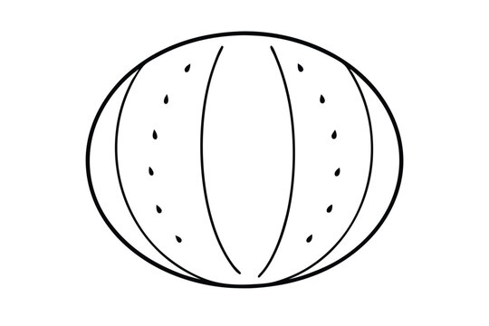 Watermelon line art vector illustration