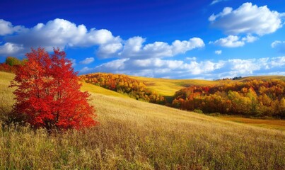 Wall Mural - Vibrant autumn scenery, rolling hills, red and yellow leaves