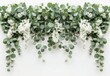 © VICHIZH - Fresh green eucalyptus and white flowers hanging on a light background