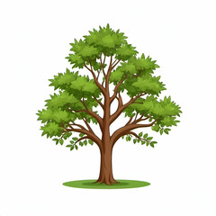 large growing lush clipart green tree isolated on white background