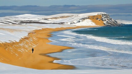 Sticker -   A person on a beach beside a water body with snowy shore and mountainous backdrop