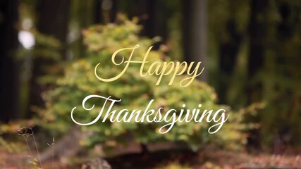 Poster - Happy Thanksgiving text animation over autumn forest background with falling leaves