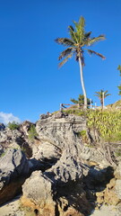 Wall Mural - Bermuda, the island of tropical paradise