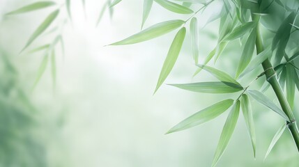 Canvas Print - A green bamboo plant with leaves is the main focus of the image