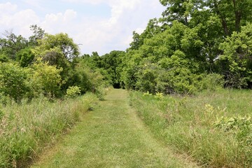 Wall Mural - The empty grass path in the country field on a sunny day.