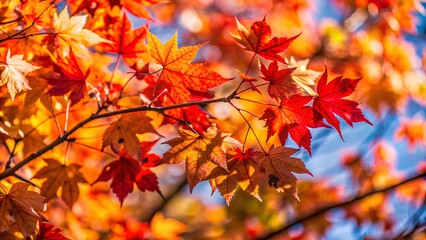 Wall Mural - a close-up of tree branches with vibrant autumn leaves. The leaves are in various shades of red, orange, and yellow, creating a warm and colorful scene. The background is a clear blue sky