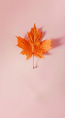 Poster - An autumn leaf in a warm orange hue is elegantly placed against a soft pink background, creating a calming contrast and minimalist aesthetic that enhances any space