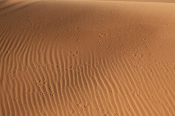 Sahara dunes, waves in the sand