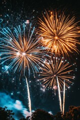 Poster - Colorful fireworks display lighting up the night sky during a festive celebration