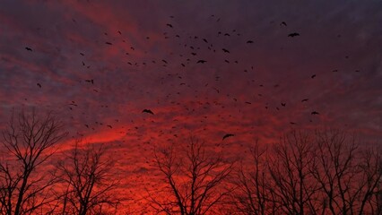 red sky and clouds sky backgrounds