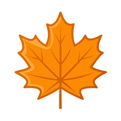 Wall Mural - Single vibrant autumn maple leaf with intricate veins, isolated