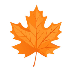 Wall Mural - Single vibrant autumn maple leaf with intricate veins, isolated