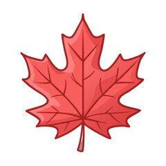 Wall Mural - Simple red maple leaf icon with detailed veins