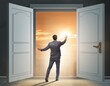 © Elnur - Businessman entering big large door